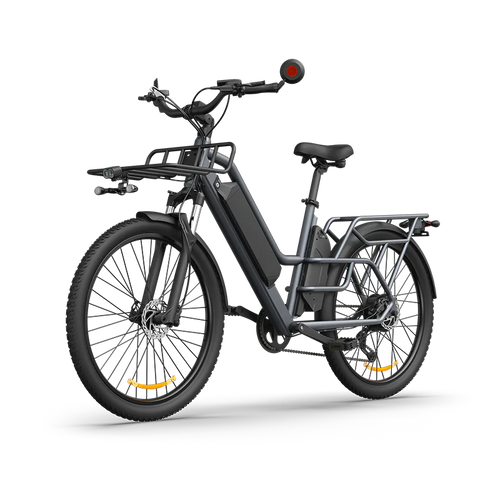 ADO Oasis 260T Dual-Battery Cargo E-Bike-0