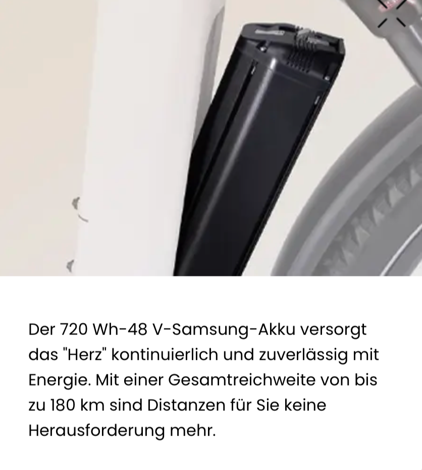 Deruiz Mica Pro-4