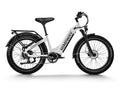 Himiway Zebra D5 2025 E-Bike - Fatbike-5