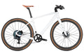 Gravel X - PB - Twitter Carbon Gravel Bike-5