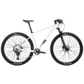 M5 (Boost) - Twitter Carbon Road Bike-3