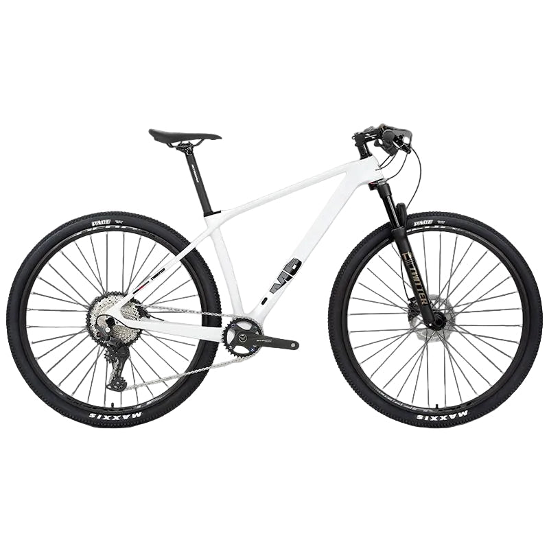 M5 (Boost) - Twitter Carbon Road Bike-3