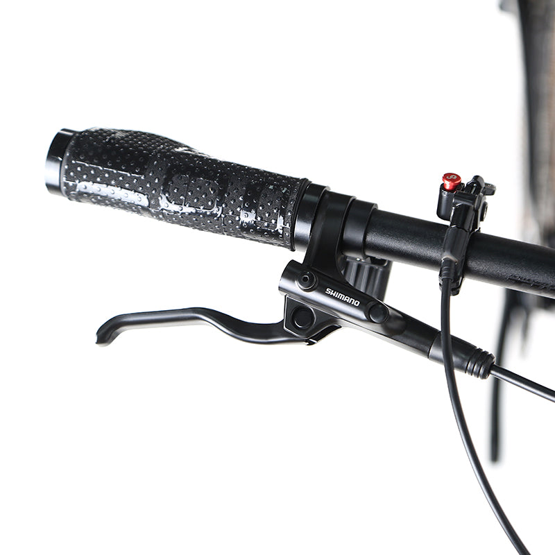 Leopard Pro - LT - Twitter Carbon Mountain Bike-4